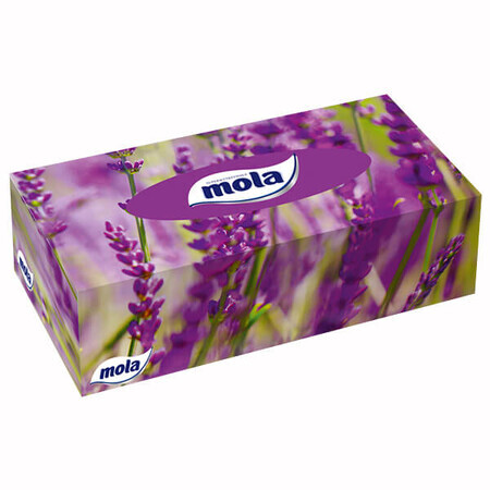 Mola Big Box, zakdoekjes, 120 stuks