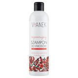 Shampoo Nutriente Intensivo per Capelli Colorati Vianek, 300ml.