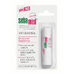 Dermatologische beschermende lippenbalsem met SPF 30, 4,8 g, Sebamed