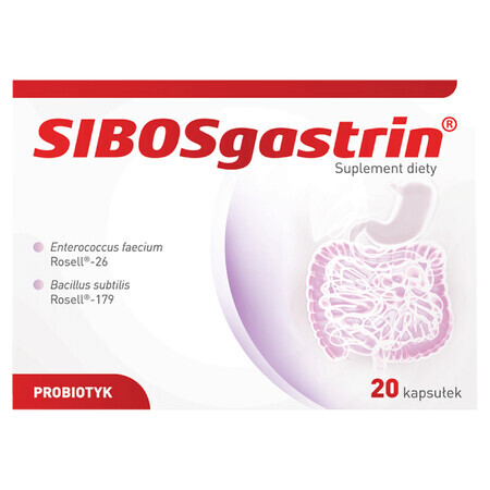 SIBOSgastrine, 20 gélules