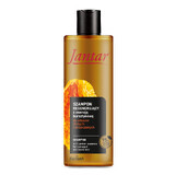 Farmona Jantar, regenererende shampoo met amberessentie, zwak en beschadigd haar, 300 ml