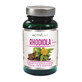 Activlab Pharma Rhodiola, 60 g&#233;lules