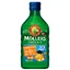 Noorse visolie, vanaf 3 jaar, fruitsmaak, 250 ml, Möller's