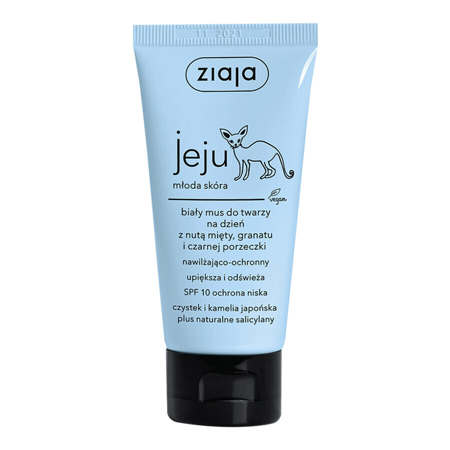 Ziaja Jeju, witte hydraterende en beschermende gezichtsmousse voor de dag, met een vleugje munt, granaatappel en zwarte bes, SPF 10, 50 ml