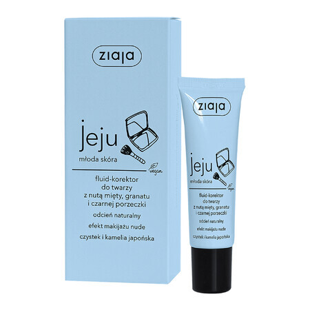 Ziaja Jeju, gezichtsvloeibare concealer, natuurlijke tint, 30 ml