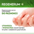 Regenerum, regenererend nagellakserum, verhardend, 8 ml