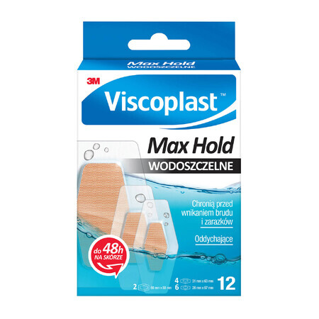 Viscoplast Max Hold, Gesso, 12 pezzi