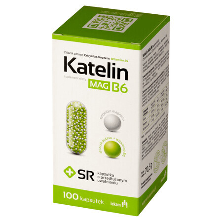 Katelin Mag B6, 100 capsules met verlengde afgifte