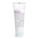 Ziaja Yego, baume après-rasage, normalisant et hydratant, verveine citronnée, 80 ml