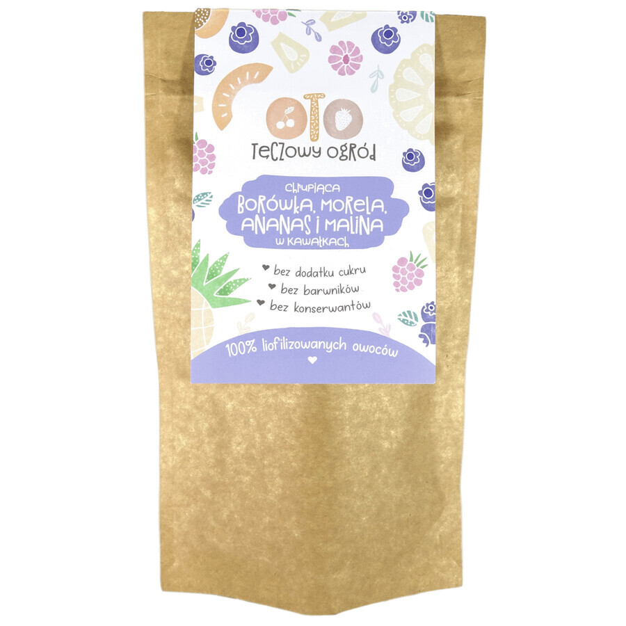 OtoLandia OTO Rainbow Garden Crunchy blueberries, apricots, pineapples, freeze-dried raspberries, in pieces, 20 g