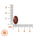 SEMA Lab Phospholipide 300 mg, 50 Kapseln