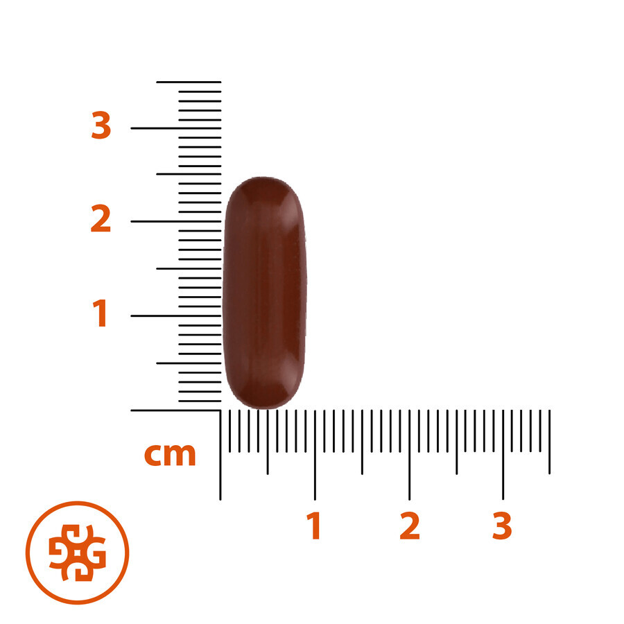 SEMA Lab Fosfolipiden Max 600 mg, 30 capsules