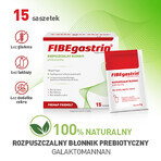 FIBEgastrina, 5 g x 15 bustine