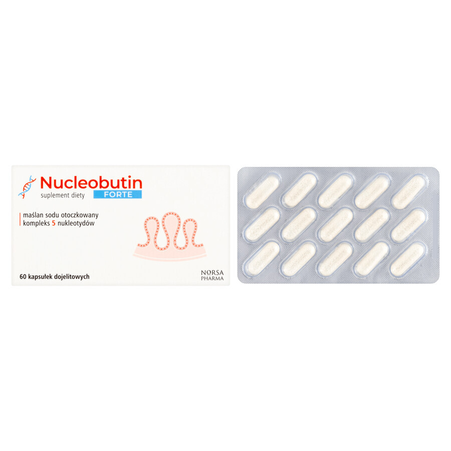 Nucleobutin Forte, 60 enteral capsules