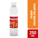 Alugastrin 1.02 g/ 15 ml, oral suspension, mint flavor, 250 ml