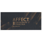 Affect Color Brow Collection, eyebrow shadow palette, 10 x 2 g