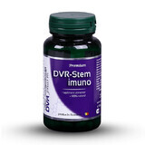 DVR-Stem Imuno, 60 caps, Dvr Pharm