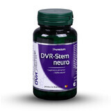 DVR-Stem Neuro, 60 capsules, Dvr Pharm