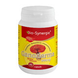 Elisir di giovinezza Ganoderma 400mg, 60 capsule, Bio Synergie