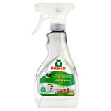 Frosch, detergent for refrigerator and microwave, juniper, 300 ml