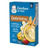 Gerber Grain &amp; Grow Haver en Tarwe pap, banaan, mango, melk, zonder toegevoegde suiker, na 8 maanden, 200 g