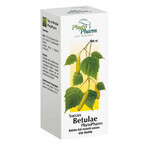 Succus Betulae Phytopharm 2,33 g/2,5 ml, vloeistof voor oraal gebruik, 100 ml