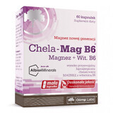 Olimp Chela-Mag B6, 60 capsules