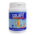 GorVita Colafit, 60 blokjes