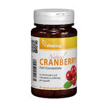 Canadees kersenextract, 90 capsules, Vitaking