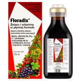 Floradix Iron &amp; Vitamins, 250 ml