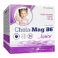 Olimp Chela-Mag B6 Junior, für Kinder ab 3 Jahren, 5 g x 15 Portionsbeutel