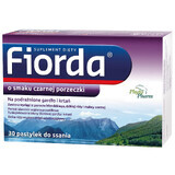 Fiorda, gusto ribes nero, 30 pastiglie