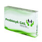 GAL Probiotic, 24 capsules