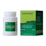 Phytoalgin, 40 comprimés, Plantavorel
