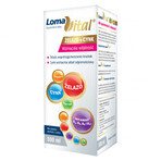 Loma Vital IJzer + Zink, vloeibaar, 500 ml