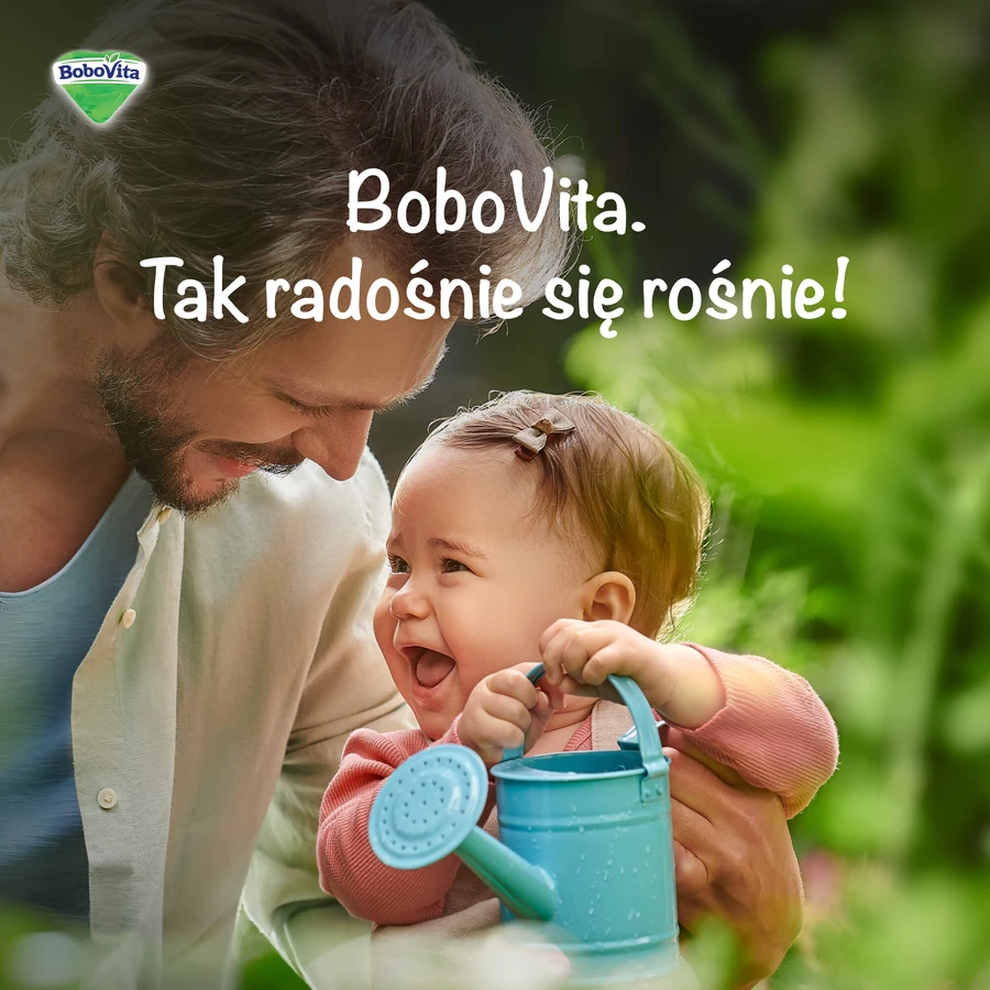 BoboVita Obiadek, potrawka z kurczakiem i szpinakiem, po 12 miesiącu, 250 g: ceny i cechy
