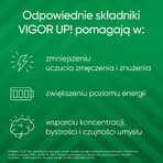 Vigor Up, 30 tabletten