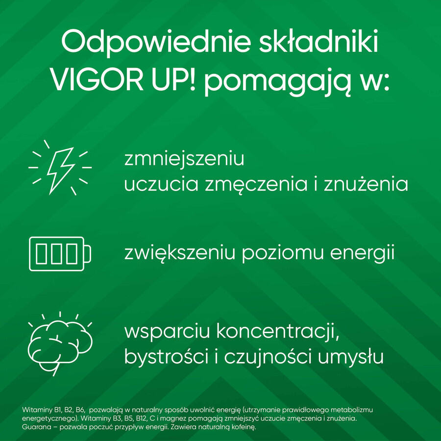 Vigor Up, 30 tabletten