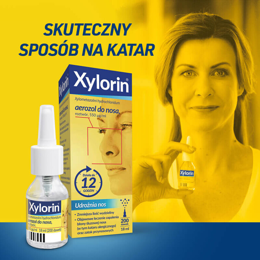 Xylorin 550 μg/ml, spray nasale, 18 ml