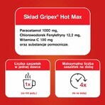 Gripex Hot Max 1000 mg + 100 mg + 12,2 mg, Pulver zum Einnehmen, 12 Beutel