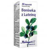 Herbapol Bosbes met Luteïne, 30 capsules