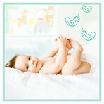 Pampers Premium Care, Windeln Größe 0, bis zu 3 kg, 30 Stück