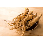 Ginseng 500, liquide, 10 ml x 10 flacons 