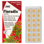 Floradix Iron and vitamins, 84 tablets