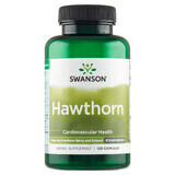 Swanson Hawthorn, extract de păducel și fructe, 120 capsule