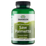 Swanson Saw Palmetto 540 mg, saw palmetto, 250 capsules