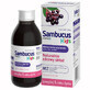 Sambucus Kids, siroop voor kinderen vanaf 1 jaar, frambozensmaak, 120 ml