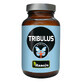 Hanoju Tribulus, foelie, 90 tabletten