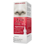 Xylodex 0,1% 0,1 mg + 5 mg, neusspray, voor volwassenen en kinderen vanaf 6 jaar, 10 ml