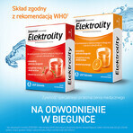 Elektrolyten, sinaasappelsmaak, 7 sachets